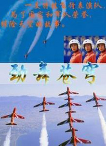1717she精品视频在线观看
